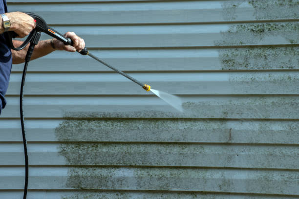 Best Gutter Cleaning  in Bridgman, MI